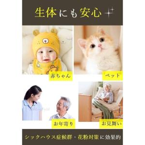 MedianField 観葉植物 光触媒 ミニ...の詳細画像2