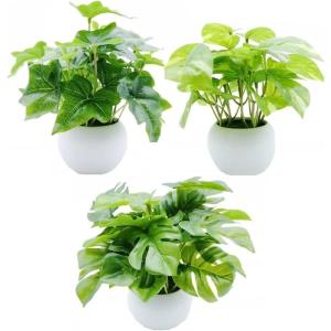 MedianField 観葉植物 光触媒 ミニ...の詳細画像3