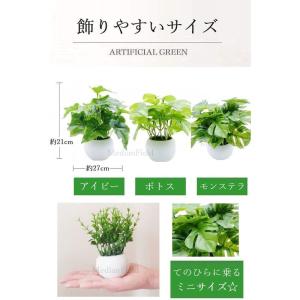 MedianField 観葉植物 光触媒 ミニ...の詳細画像4