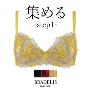 育乳 育乳ブラ ブラジャー下着 補整 補正 谷間 バストアップ