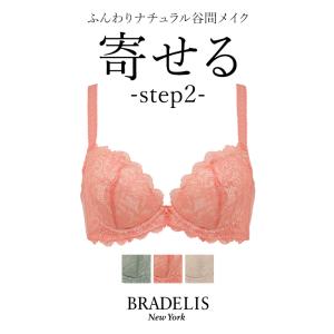 育乳ブラ ブラジャー下着 補整 補正 谷間 バストアップ ブラデリス BRADELIS bradelis BRNY ブラデリス ナオミステップ2ブラ23A1 ナオミタイプ 1219sl｜bradelisny
