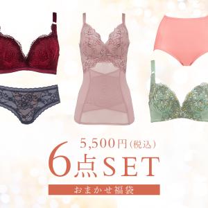 1月4日以降発送 福袋 下着 ブラキャミ インナー ブラデリスの人気補整インナー詰め合わせ 5,500円福袋 ブラデリスニューヨーク BRADELIS bradelis BRNY