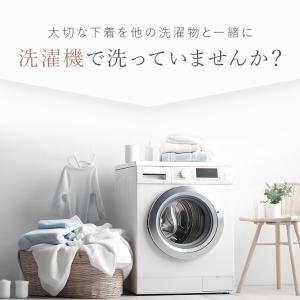 ギフト洗剤 下着用 洗濯 おしゃれ着 ブラ ホ...の詳細画像2