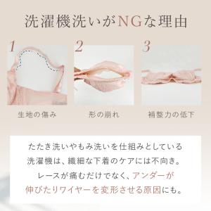 ギフト洗剤 下着用 洗濯 おしゃれ着 ブラ ホ...の詳細画像3