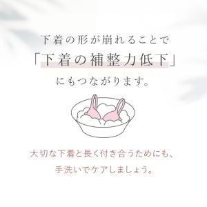 ギフト洗剤 下着用 洗濯 おしゃれ着 ブラ ホ...の詳細画像4