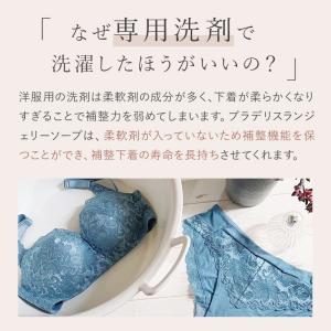 ギフト洗剤 下着用 洗濯 おしゃれ着 ブラ ホ...の詳細画像5