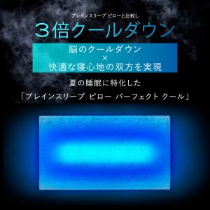 枕 夏用 ブレインスリープ ピロー パーフェク...の詳細画像3