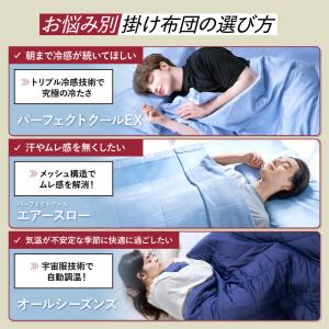夏用布団 ブレインスリープ コンフォーター パ...の詳細画像1