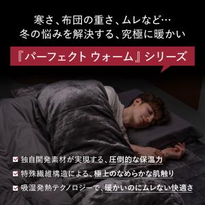 冬用掛け布団 ブレインスリープ コンフォーター...の詳細画像1