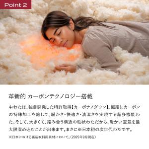 冬用掛け布団 ブレインスリープ コンフォーター...の詳細画像5