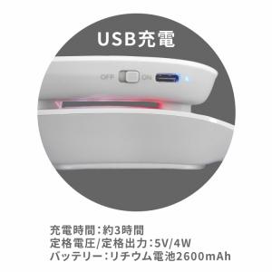 送料無料(一部地域を除く) (正規認定品)BR...の詳細画像5