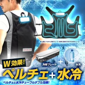 【新型モデル】【BR-871-1レギュラー】送料...の商品画像