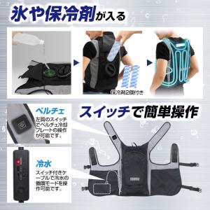 【新型モデル】【BR-871-1レギュラー】送...の詳細画像2