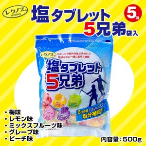 2023年製 ランドアート「レクノスの塩タブレット5兄弟（袋入タイプ）500g袋入」5種類ミックス　塩飴　熱中症｜brain8