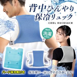 背中ひんやり保冷リュック BR-527 保冷剤を入れてひんやり冷やせる 背中ひんやり保冷リュック ハード保冷剤1個付 ブレイン