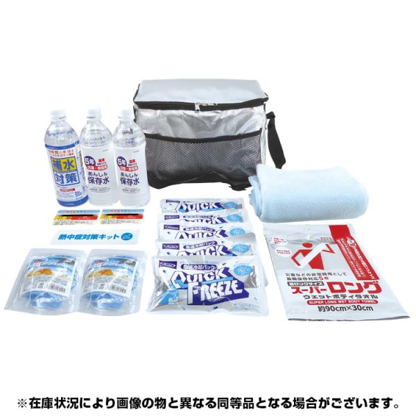 熱中症対策キット 熱中症対策キットDX BR-610 アルミクーラーバックに入った熱中症予防 熱中対...