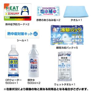 熱中症対策キット 熱中症対策キットDX BR-...の詳細画像1