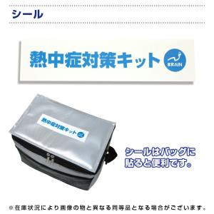 熱中症対策キット 熱中症対策キットDX BR-...の詳細画像3