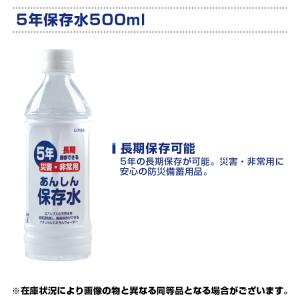 熱中症対策キット 熱中症対策キットDX BR-...の詳細画像4