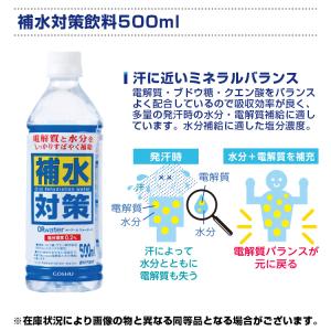 熱中症対策キット 熱中症対策キットDX BR-...の詳細画像5