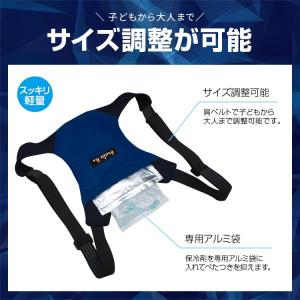 アイスバックII 保冷剤付 KB-106 日本...の詳細画像3