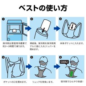 アイスバックII 保冷剤付 KB-106 日本...の詳細画像4