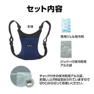 アイスバックII 保冷剤付 KB-106 日本...の詳細画像5
