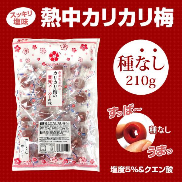 熱中症対策 種とりカリカリ梅 (種なし) 210ｇ 2026年製 赤城フーズ 熱中カリカリ梅 国内加...