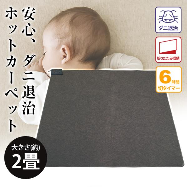 TEKNOS TWA-2002B ホットカーペット 2畳用 すべり止め加工 ダニ退治 暖房面積切替 ...