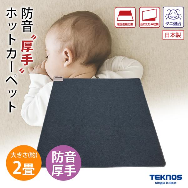 TEKNOS TWB-2500J 防音厚手ホットカーペット 2畳用 ダニ退治 暖房面積切替 6時間オ...