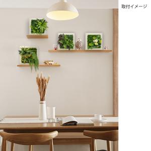Branch leaves ウォールグリーン ...の詳細画像5