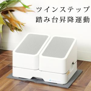 エアロライフ ツインステップス 踏み台昇降器 ステップ