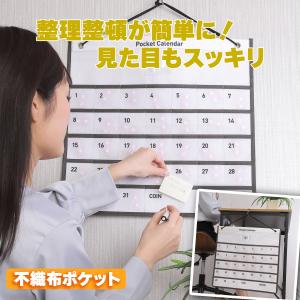 お薬カレンダー ポケット 1ヶ月 壁掛けカレン...の詳細画像2