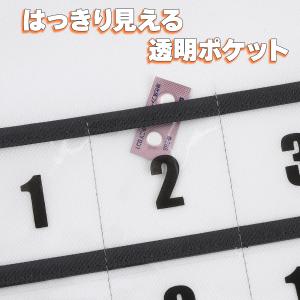 お薬カレンダー 1ヶ月 毎日ずっと使える 壁掛...の詳細画像5