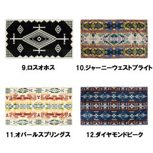 PENDLETON ペンドルトン ブランケット...の詳細画像3