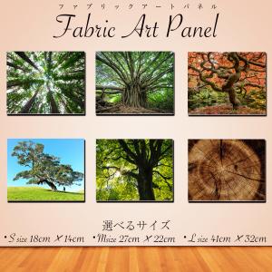 アートパネル インテリア 木 緑 キャンバス ファブリック パネル 絵画 おしゃれ かわいい 綺麗 ポスター 額縁 壁紙 Lif P055 デザプリ オリジナルデザインプリントグッズ 通販 Yahoo ショッピング