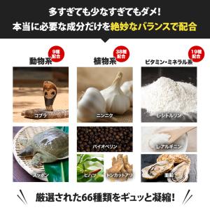 増大サプリ BRAVION S.(ブラビオンエ...の詳細画像5