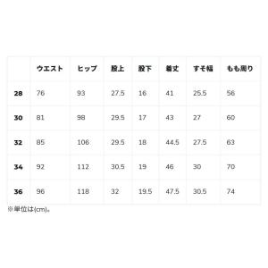 VOLCOM LAWTOM /ボルコム メンズ...の詳細画像2