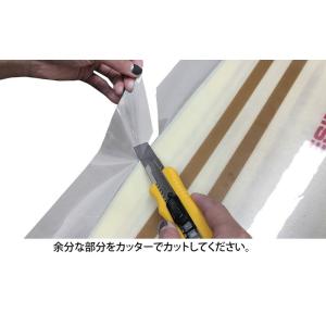 ORANGE / オレンジ DECK GUAR...の詳細画像3