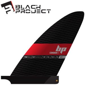BLACK PROJECT ハイドロカーボンパドル bpsh.jpg