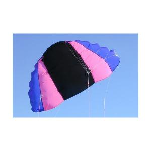 NASAWING 250 / ナサウイング 4.85平米 カイト カイトボード