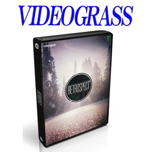 RETROSPECT / VIDEOGRASS スノーボードDVD ビデオグラス メール便対応｜breakout