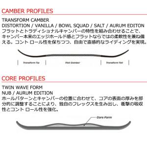 25-26 SIMS/シムス AURUM ED...の詳細画像3