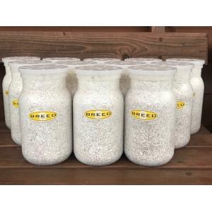 高性能・高品質　BREED菌糸ブロック　3500cc　12個 菌糸ブロック 高品質 高性能 BREED 3500ml 3個 ブリード 菌床 菌糸ビン