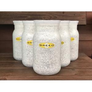 菌糸ビン　高品質　高性能　BREED　1100ml　6本　ブリード　菌糸瓶　菌床　菌糸ボトル