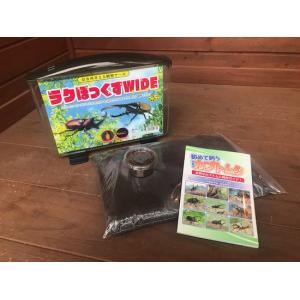 大型・美形ヘラクレスオオカブト　幼虫飼育セット《ガイドブック付き》初心者、お子様にもオススメ！