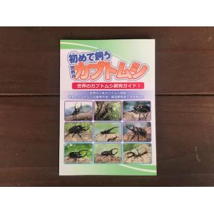 大型・美形ヘラクレスオオカブト 幼虫飼育セット...の詳細画像5