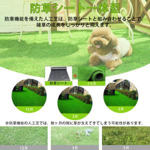 [RsBarter] 人工芝 0.5m×5m ...の詳細画像4