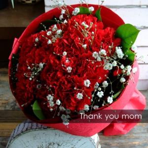 母の日　ラウンドブーケ STカーネーション 花束