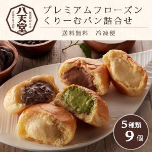 八天堂 プレミアムフローズンくりーむパン詰合せ 9個入り